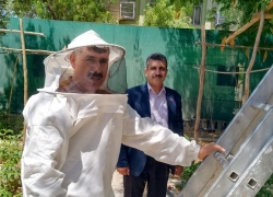 The College of Agriculture/Hawija launches a program to maintain beehives and improve honey production to meet climate challenges