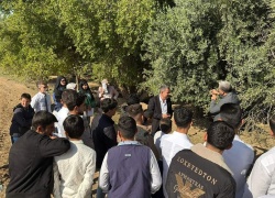 The College of Medicinal and Industrial Plants organizes a field lecture to develop the skills of rural youth in serving fruit and olive orchards in Kirkuk Governorate