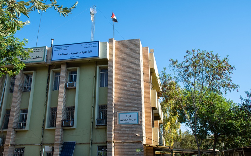 نبذة عن الكلية