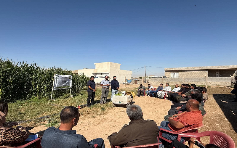  محاضرة ميدانية حول مكافحة الآفات التي تصيب محصول الذرة الصفراء ضمن اتفاقية التعاون مع المركز الإرشادي الزراعي
