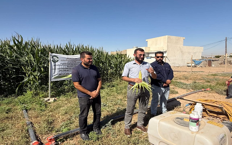  محاضرة ميدانية حول مكافحة الآفات التي تصيب محصول الذرة الصفراء ضمن اتفاقية التعاون مع المركز الإرشادي الزراعي