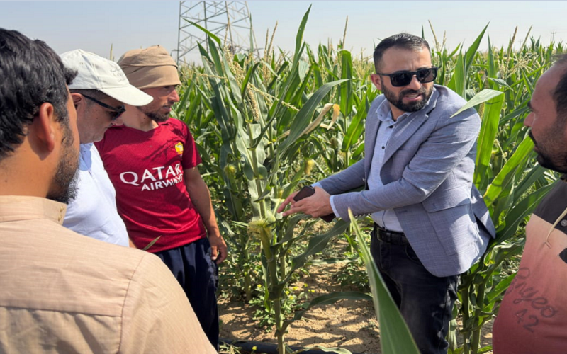 محاضرة علمية ميدانية حول المراحل الحرجة لنمو المحاصيل الصناعية في محطة تازة الإرشادية ضمن اتفاقية التعاون مع كلية النباتات الطبية والصناعية