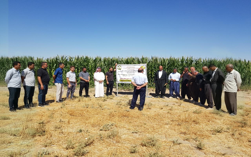 إلقاء محاضرة تدريبية حول الإدارة الحقلية للذرة الصفراء في ظل ظروف الجفاف والملوحة بمزرعة قمر الإرشادية