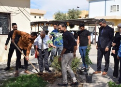 حملة تشجير 2023