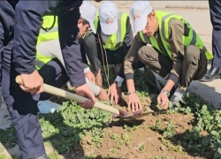 كلية الزراعة جامعة كركوك تستمر في حملتها لتشجير الدوائر الحكومية في محافظة كركوك