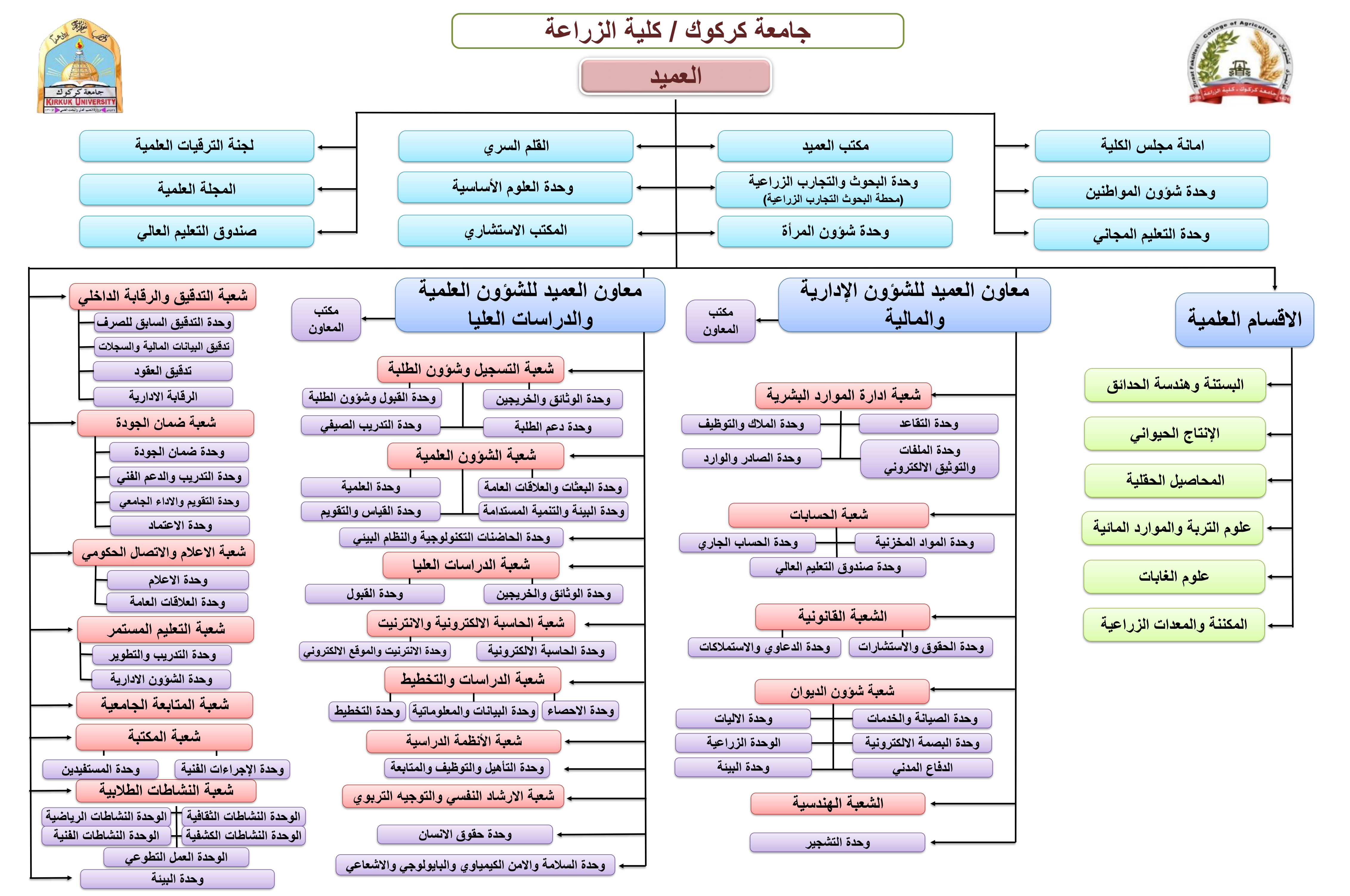 الهيكلية التنظيمية