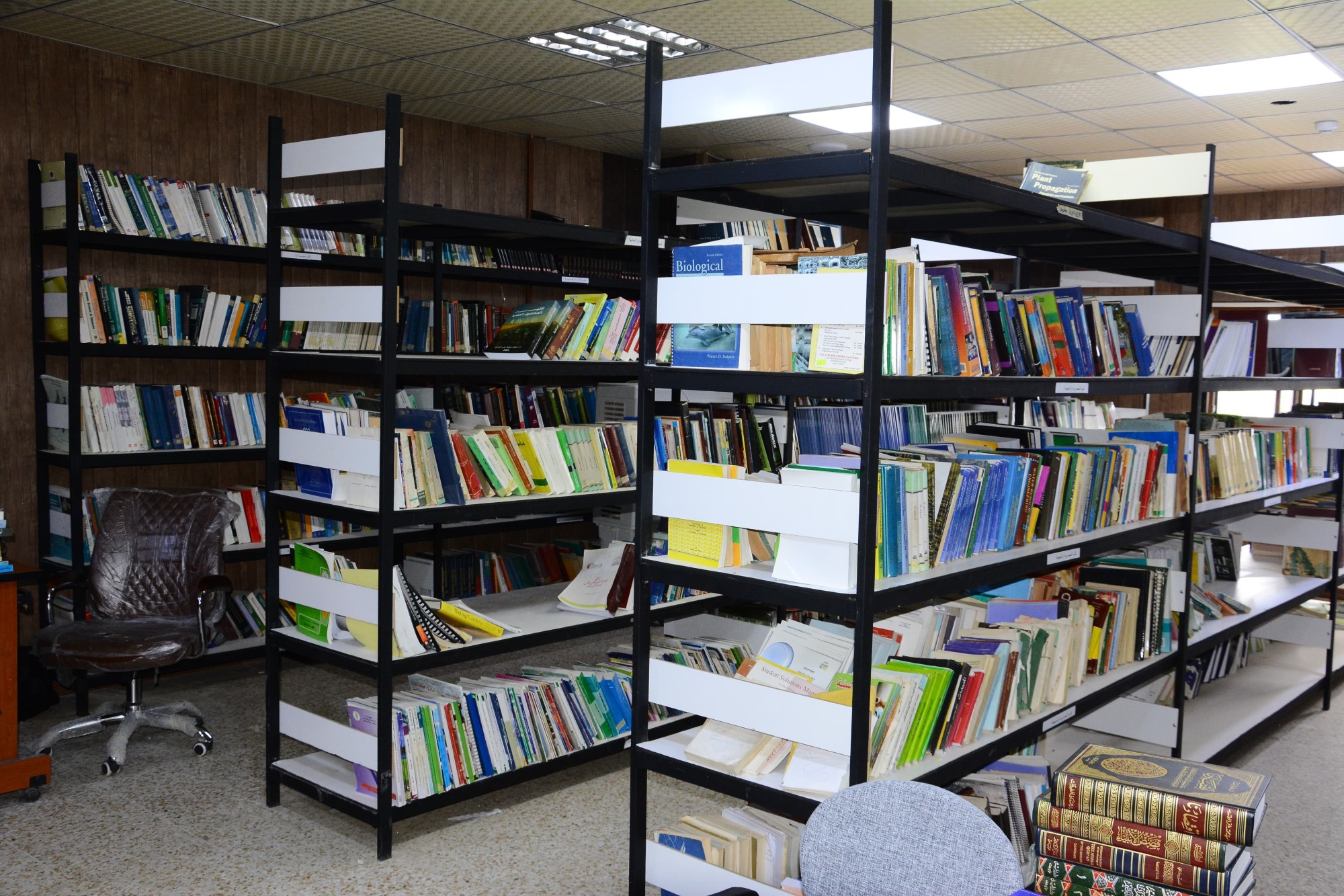 قاعة من قاعات مكتبة كلية الزراعة