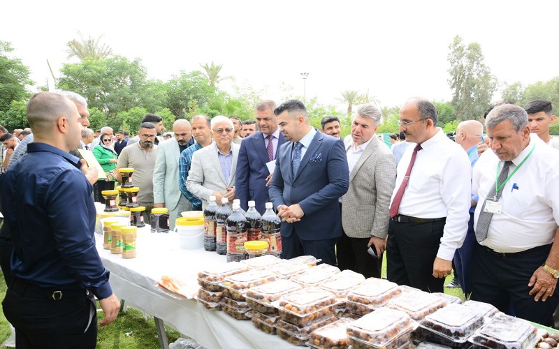 The College of Agriculture organizes its second annual Date Palm Festival , its varieties and products