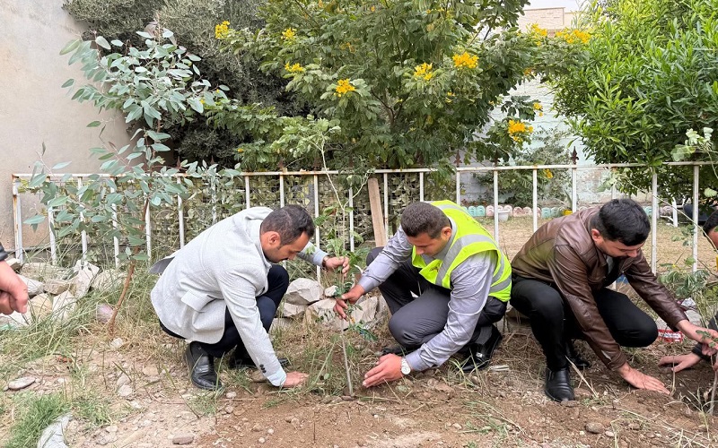 planting trees 3