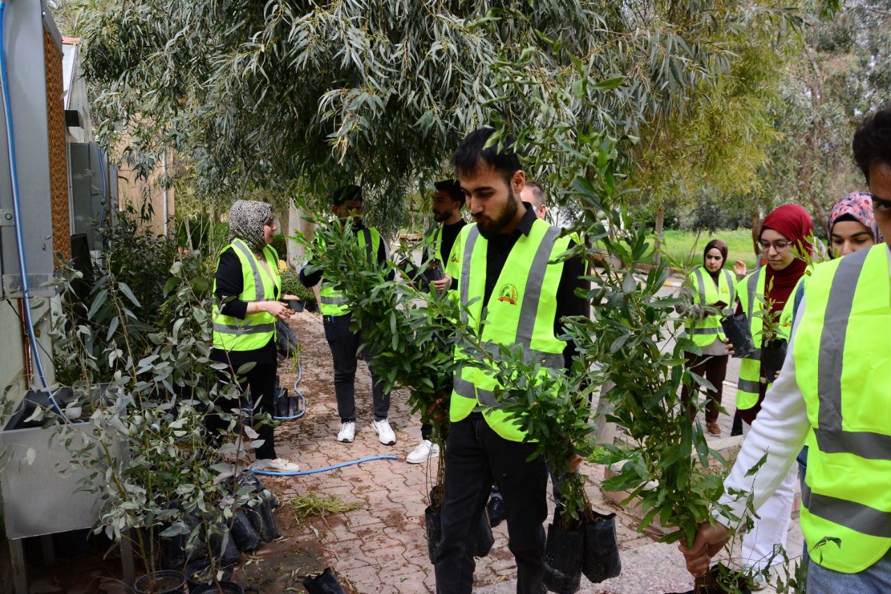 treeplanting Activities 6