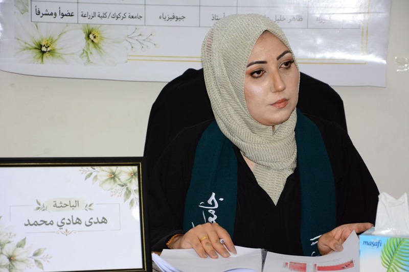 hudahadi thesis 2