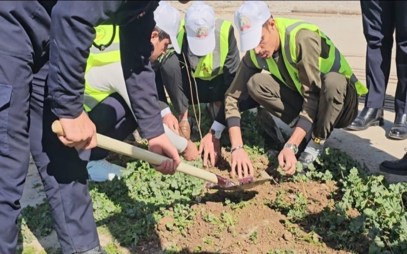 كلية الزراعة جامعة كركوك تستمر في حملتها لتشجير الدوائر الحكومية في محافظة كركوك