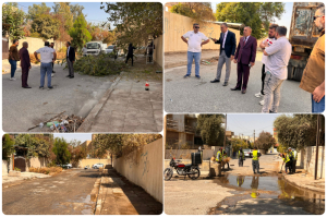 استعدادا للعام الدراسي الجديد.. كلية التربية للبنات تطلق حملة تنظيف واسعة