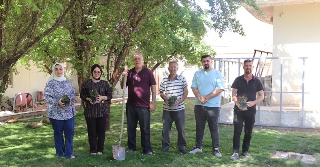 Extensive Tree-Planting Campaign at the College of Arts