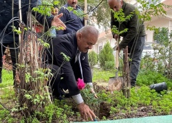 Tree-Planting Campaign at the College of Arts to Enhance Green Spaces and Protect the Environment