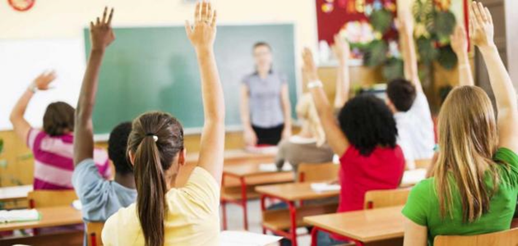 قسم معلم الصفوف الأولى