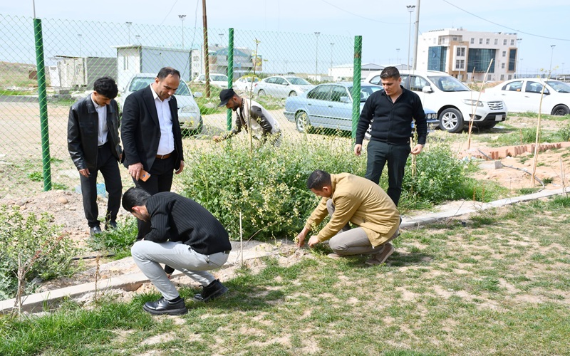 كلية التربية الأساسية في ...