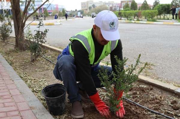 Internal departments launch a campaign to tree the corridors and courtyards of the University