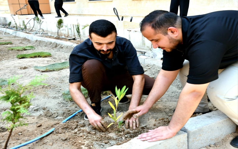 planting1