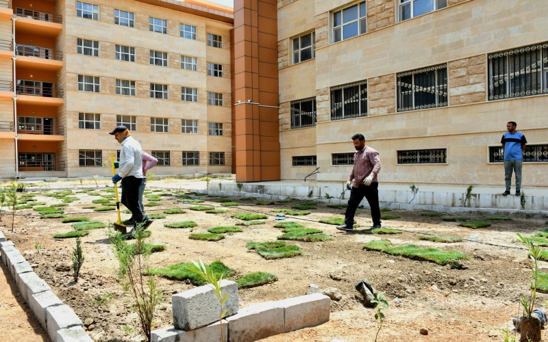 planting2