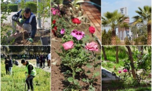 In observance of National Afforestation Day... The University of Kirkuk is launching a major campaign to tree the university's arcades and courtyards and colleges