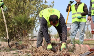 Kirkuk University is witnessing a campaign to maintain and rehabilitate green spaces.