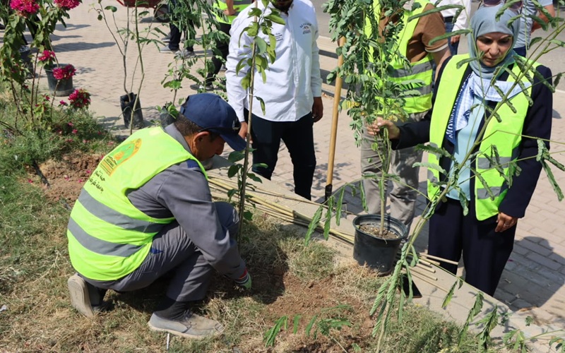 Kirkuk University carries out a large-scale tree-planting campaign to enhance the university environment