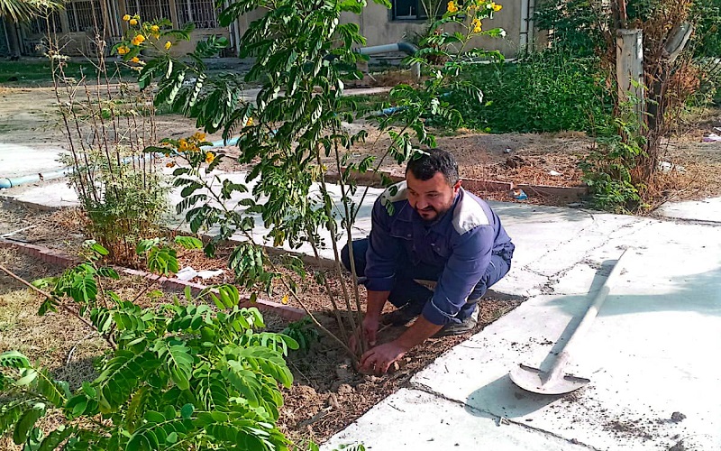 The internal departments are organizing a campaign to maintain the gardens of residential complexes