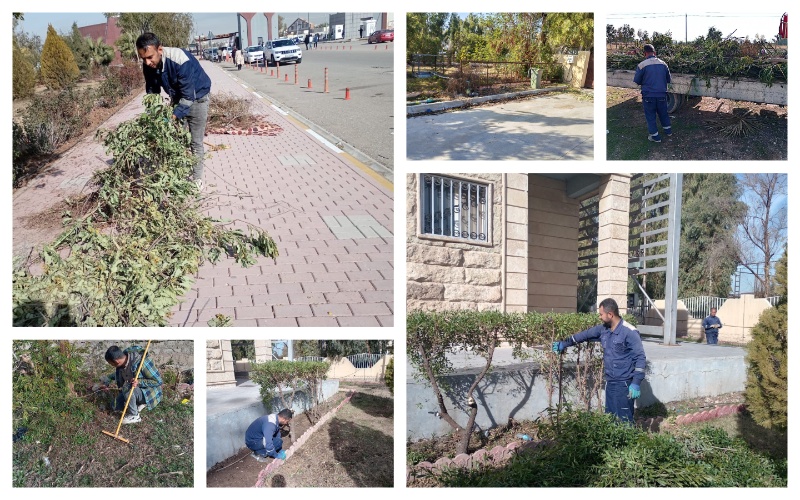 The internal departments are organizing a campaign to maintain the gardens of residential complexes