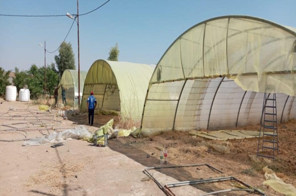 The College of Agriculture carries out a campaign to maintain the Greenhouses in the Station of Research and Agricultural Experiments
