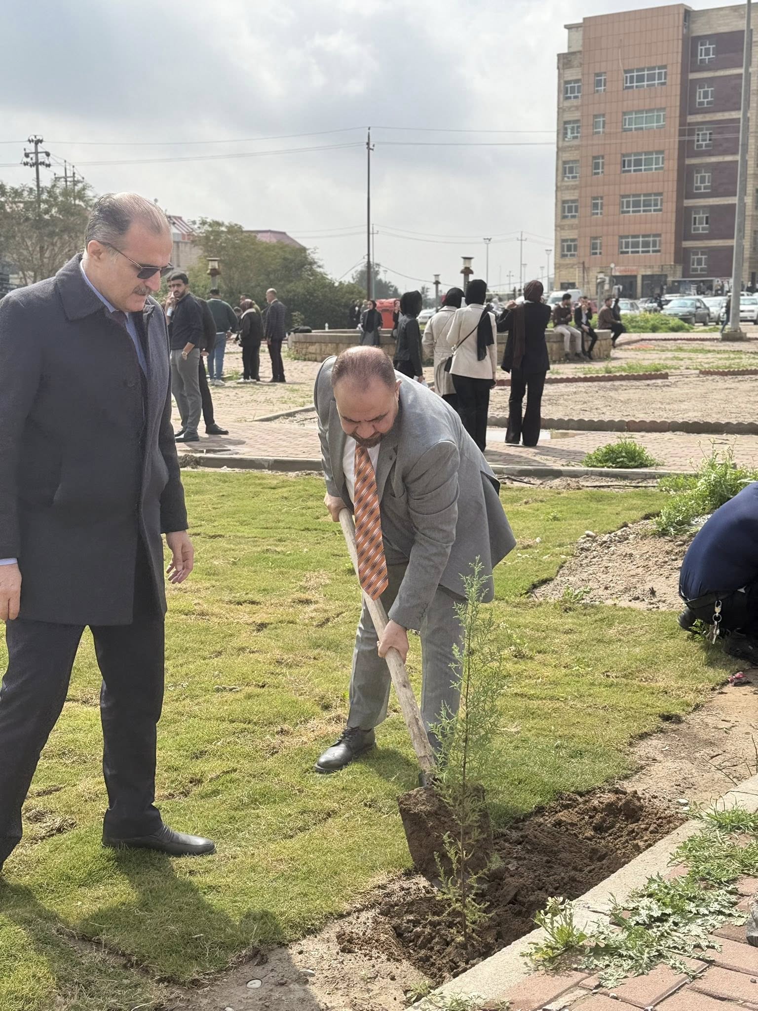 حملة تشجير 3