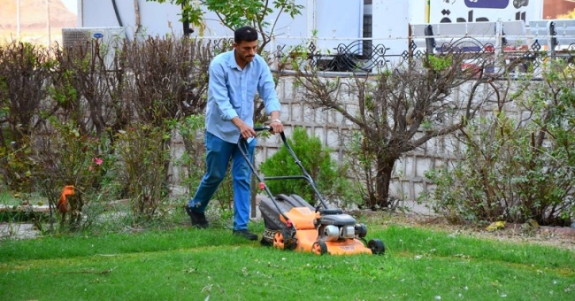 استمرار حملة تنظيف وإزالة الأدغال والحشرات والعناية بحدائق كلية العلوم