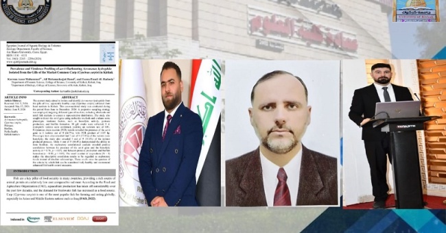 نشر دراسة بحثية 