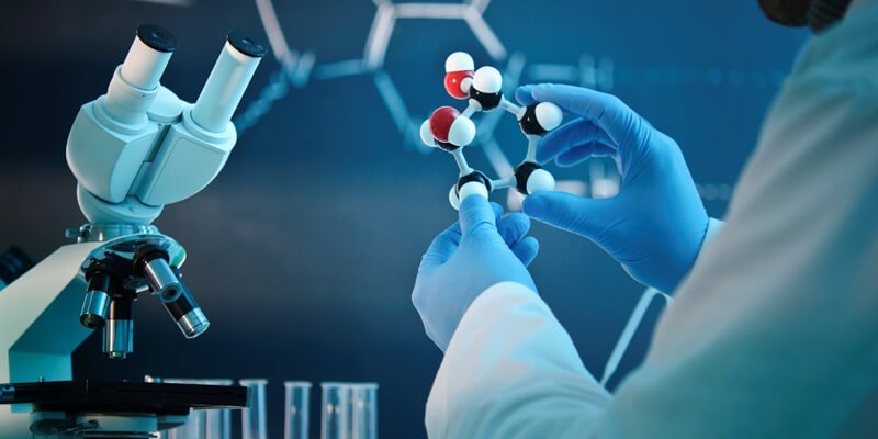 biology ramifications