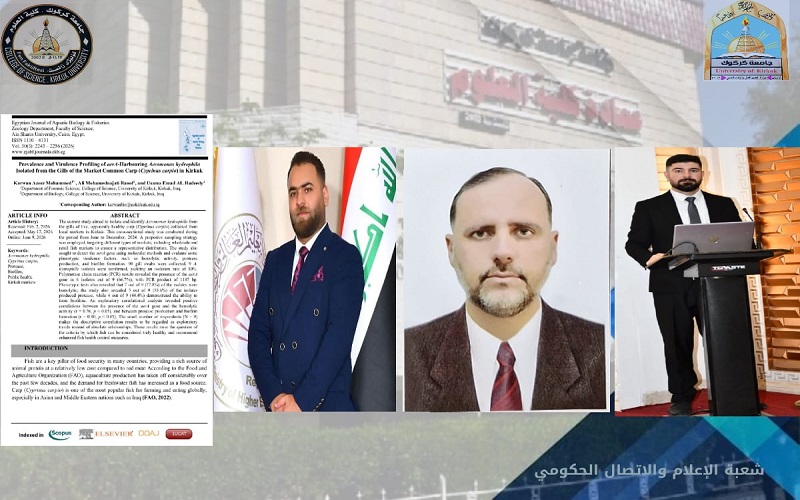 نشر دراسة بحثية 