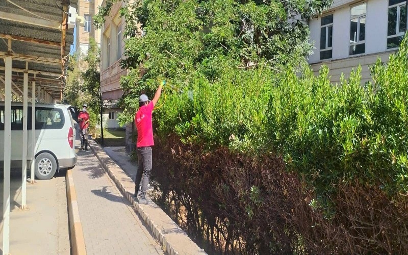 كلية العلوم بجامعة كركوك تنفذ حملة لمكافحة الأدغال والحشرات في حدائق الكلية