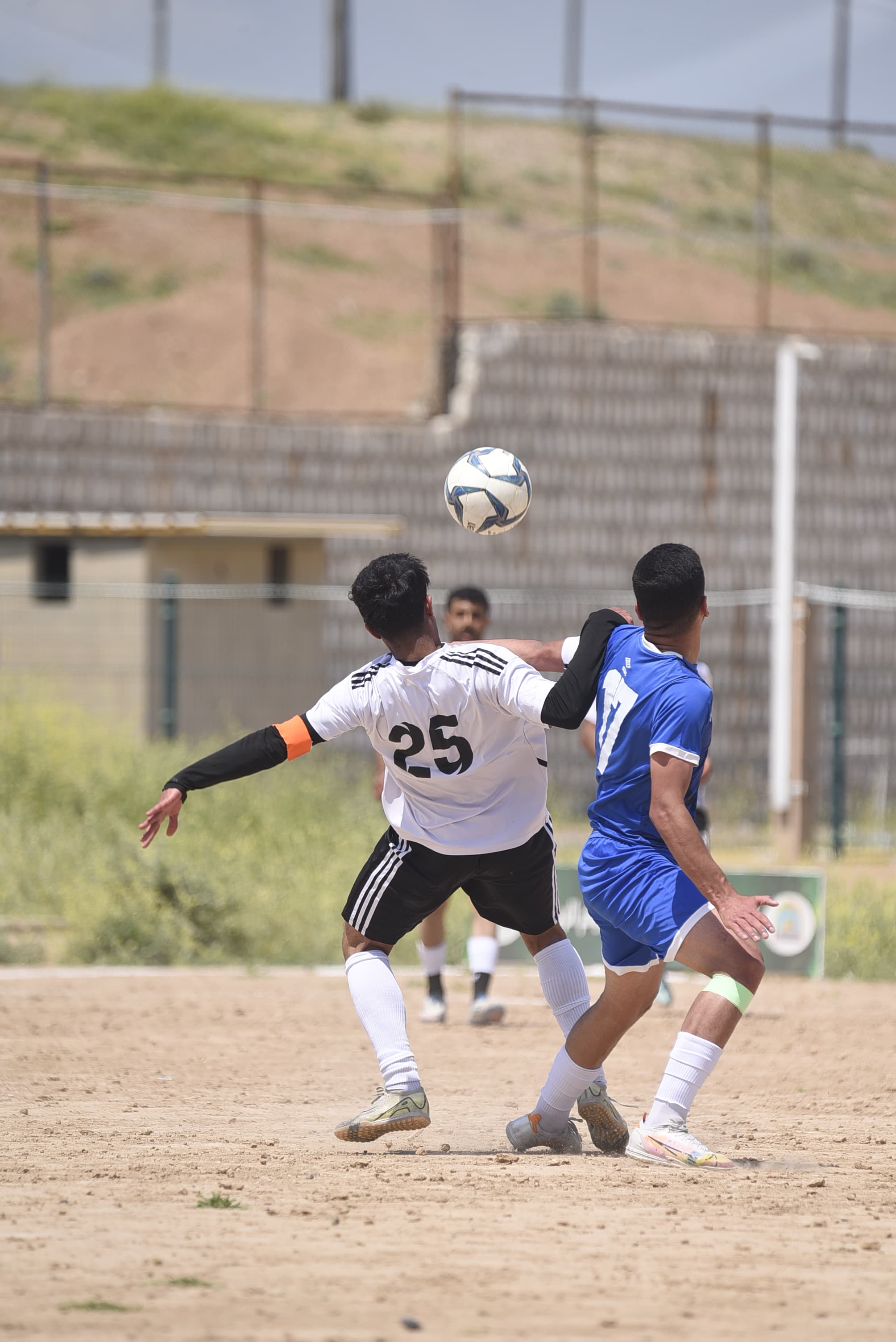 صورة 16