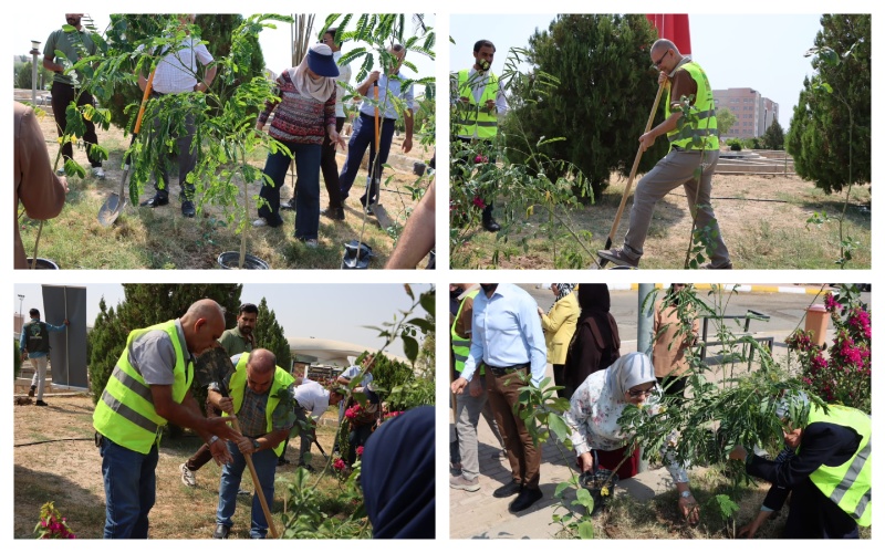 Kirkuk University carries out a large-scale tree-planting campaign to enhance the university environment     