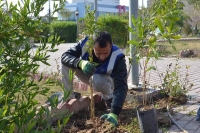 جامعة كركوك تنظم حملة لتشجير اروقتها وباحاتها بأشجار متنوعة