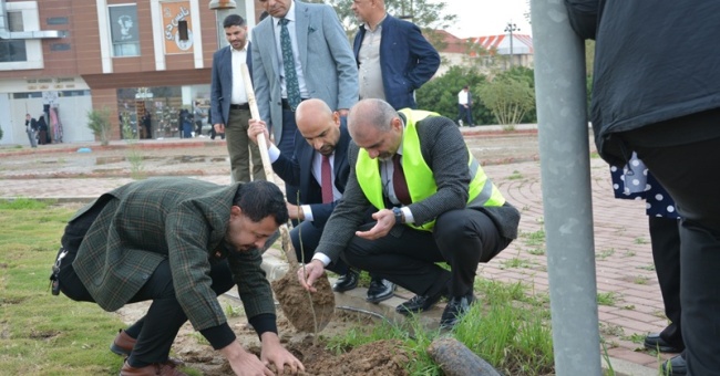 كلية علوم الحاسوب وتكنولوجيا المعلومات تنظم حملة تشجير