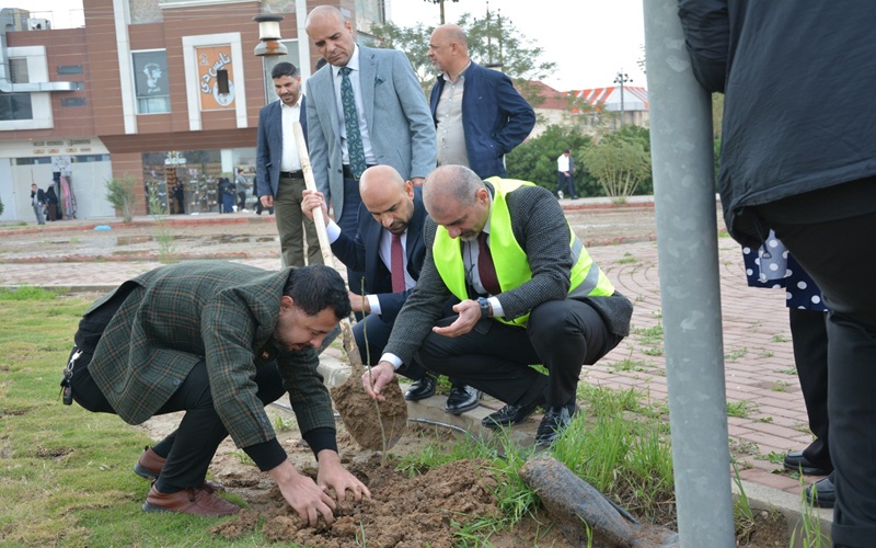 كلية علوم الحاسوب وتكنولوجيا المعلومات تنظم حملة تشجير