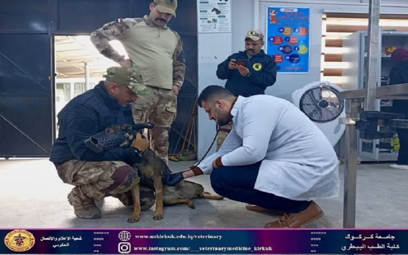 كلية البيطري تجري ...