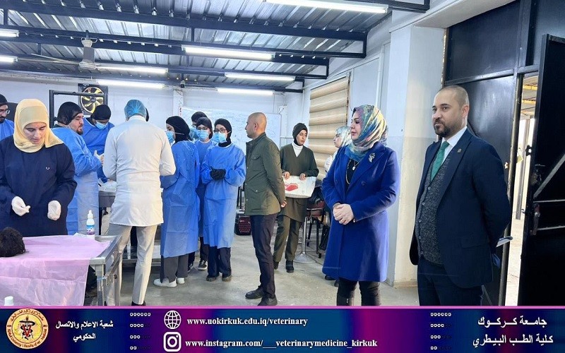 طلبة المرحلة ...