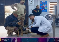 كلية البيطري تجري الكشف الدوري الشهري لكلاب ال K9 .