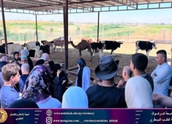 طلبة كلية الطب البيطري يباشرون بالتطبيق الصيفي 