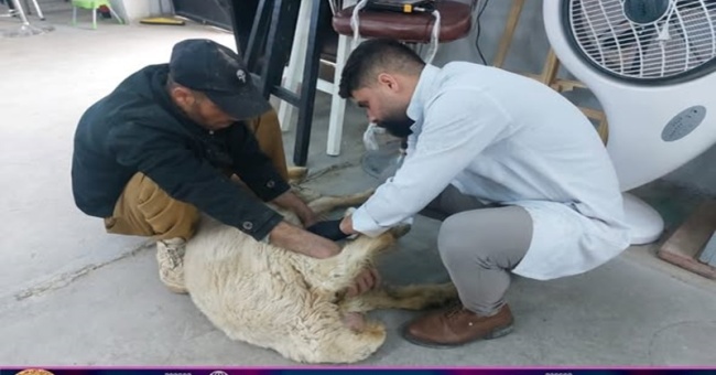 The veterinary college receives a patient.