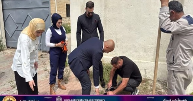 The Faculty of Veterinary Medicine launches a campaign to plant trees in its gardens and courtyards.