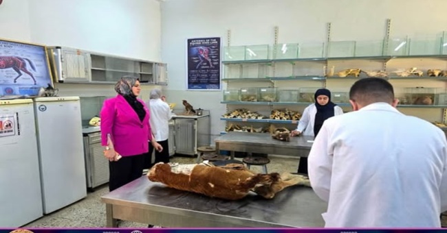 عميد كلية الطب البيطري تتفقد طلبة المرحلة ألأولى اثناء تأديتهم للامتحانات العملية 