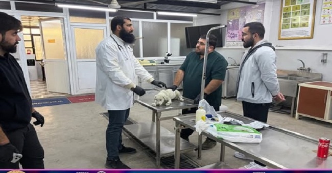 كلية الطب البيطري تستقبل حالة مرضية