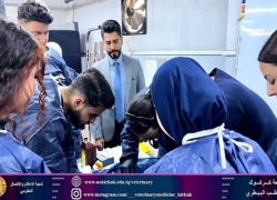 طلبة الطب البيطري يجرون عمليات جراحية لمجموعة من الحيوانات